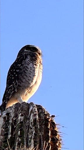 Fauna y naturaleza de La Rioja
